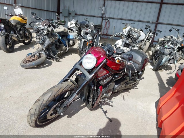 1HD1HHH1XGC803317 Harley-Davidson Vrscdx Night Rod Special