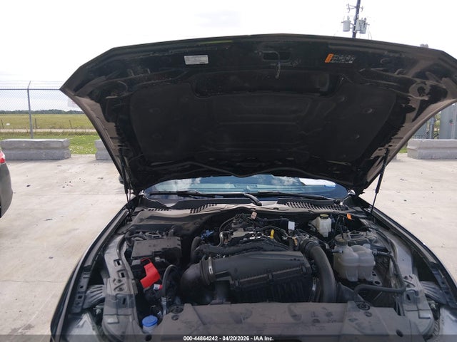 Ford Mustang Ecoboost Fastback 2024 1FA6P8TH8R5140373 Image 10