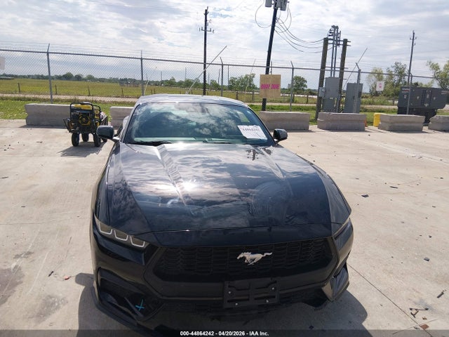Ford Mustang Ecoboost Fastback 2024 1FA6P8TH8R5140373 Image 12