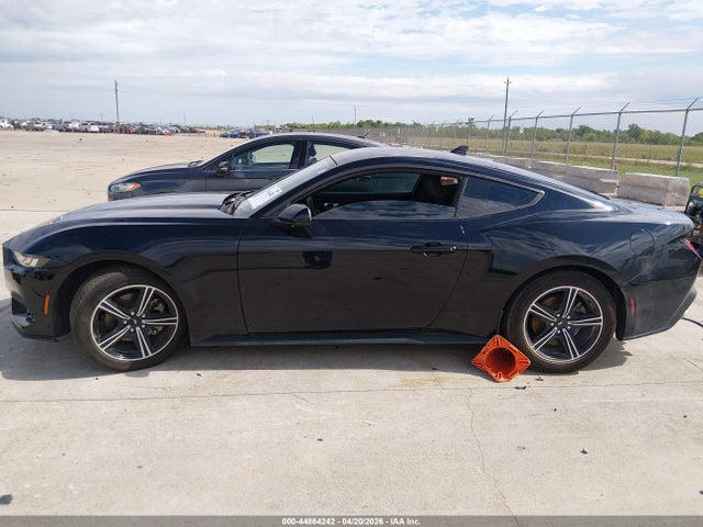 Ford Mustang Ecoboost Fastback 2024 1FA6P8TH8R5140373 Image 14