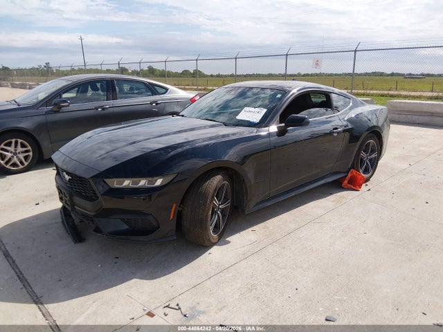 Ford Mustang Ecoboost Fastback 2024 1FA6P8TH8R5140373 Image 2