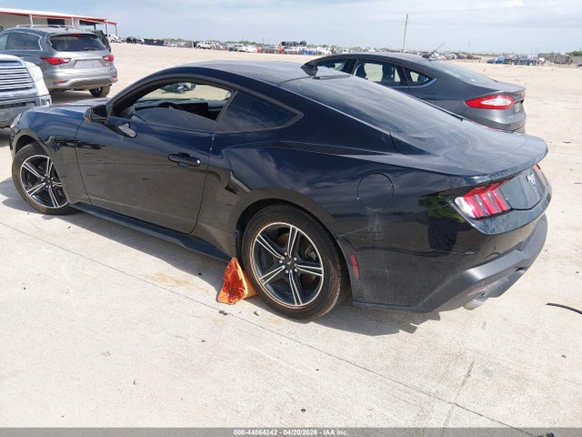 Ford Mustang Ecoboost Fastback 2024 1FA6P8TH8R5140373 Image 3