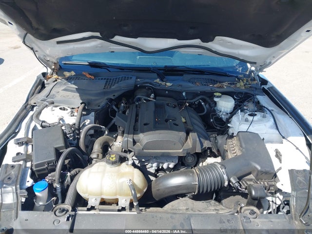 Ford Mustang Ecoboost Premium Fastback 2020 1FA6P8TH4L5139213 Image 10