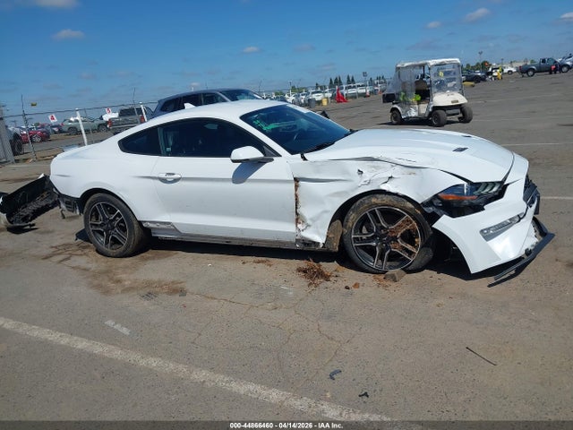 Ford Mustang Ecoboost Premium Fastback 2020 1FA6P8TH4L5139213 Image 14