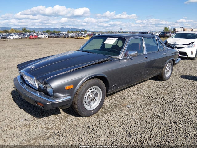 44866573 :رقم المزاد ، SAJAV1347FC414251 vin ، 1985 Jaguar Xj6 مزاد بيع