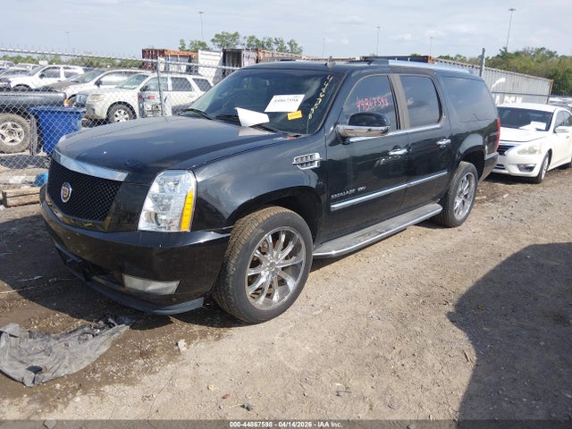 Продажа на аукционе авто 2010 Cadillac Escalade Esv Luxury, vin: 1GYUCHEF4AR193782, номер лота: 44867598