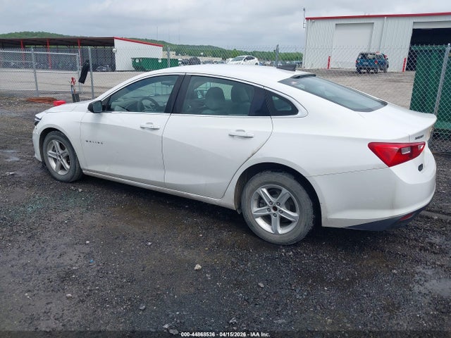 44868536 :رقم المزاد ، 1G1ZC5ST3LF001589 vin ، 2020 Chevrolet Malibu Fwd 1fl مزاد بيع