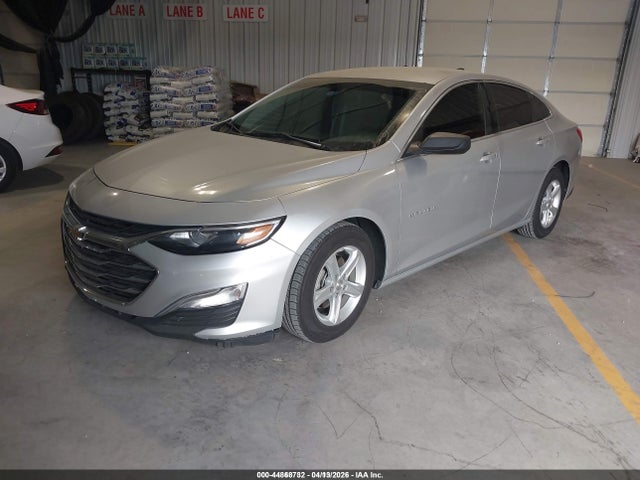 1G1ZC5ST6KF202952 Chevrolet Malibu 1fl