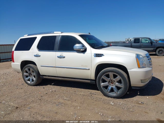 2010 Cadillac Escalade Premium მანქანა იყიდება აუქციონზე, vin: 1GYUKCEF9AR146690, აუქციონის ნომერი: 44872257
