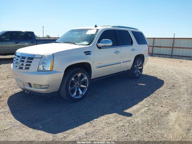 2010 Cadillac Escalade Premium მანქანა იყიდება აუქციონზე, vin: 1GYUKCEF9AR146690, აუქციონის ნომერი: 44872257