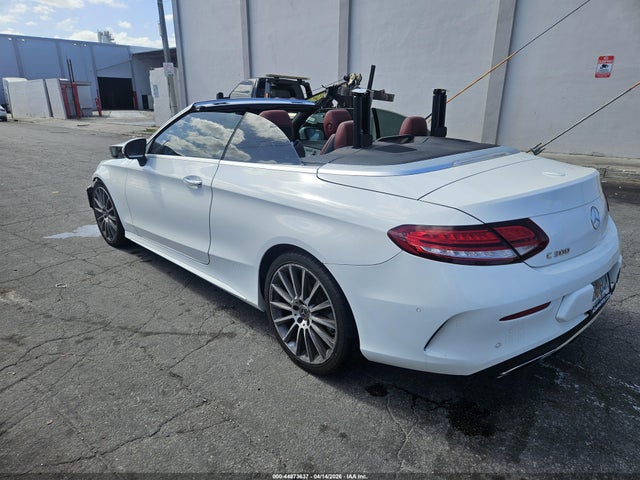 2019 MERCEDES-BENZ C 300 WDDWK8DB0KF873266 Photo 2