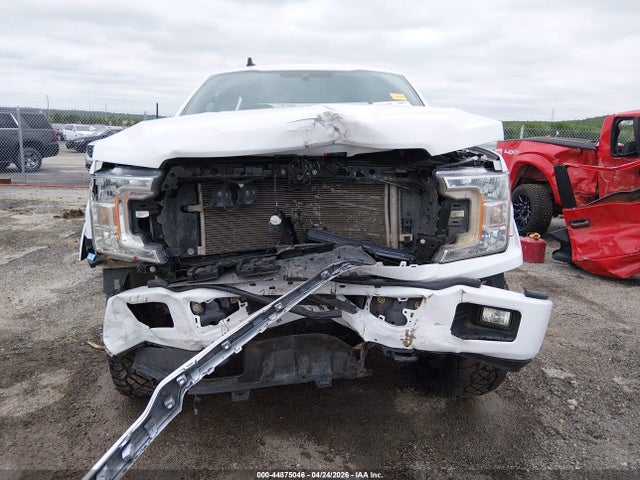 Aukcja sprzedaży 2020 Ford F-150 Xlt, vin: 1FTEW1EP1LKE53262, numer aukcji: 44875046