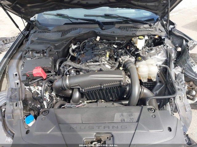 Ford Mustang Ecoboost Fastback 2024 1FA6P8THXR5107567 Image 10