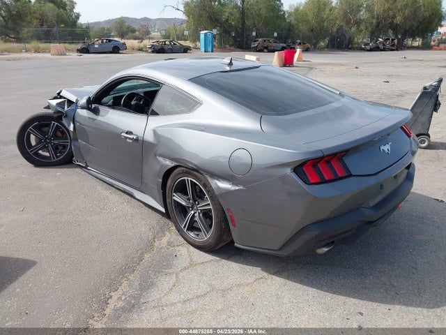 Ford Mustang Ecoboost Fastback 2024 1FA6P8THXR5107567 Image 3