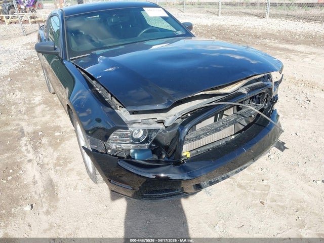 Aukcja sprzedaży 2013 Ford Mustang V6, vin: 1ZVBP8AM8D5202546, numer aukcji: 44875526