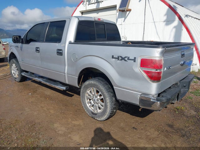 Ford F-150 Xlt 2014 1FTFW1ET3EKE04939 Image 3