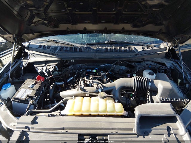 2019 Ford F-150 Xl მანქანა იყიდება აუქციონზე, vin: 1FTMF1EP2KKD64892, აუქციონის ნომერი: 44876734