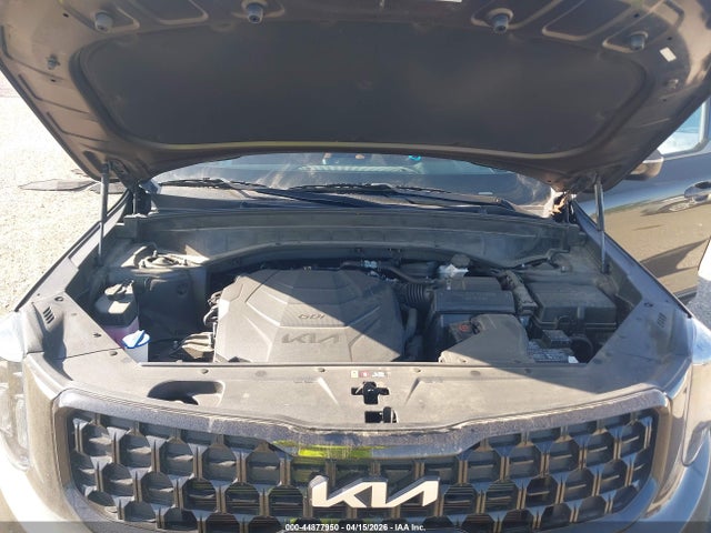 Продаж на аукціоні авто 2024 Kia Telluride Ex X-line, vin: 5XYP3DGC3RG440556, номер лоту: 44877950