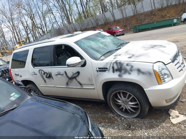2010 Cadillac Escalade Premium მანქანა იყიდება აუქციონზე, vin: 1GYUKCEF2AR286533, აუქციონის ნომერი: 44878225