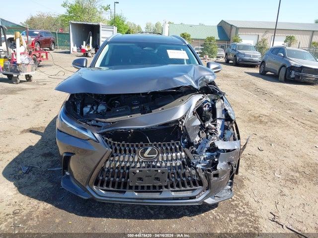 44878420 :رقم المزاد ، 2T2AGCEZ2SC081645 vin ، 2025 Lexus Nx 350 مزاد بيع
