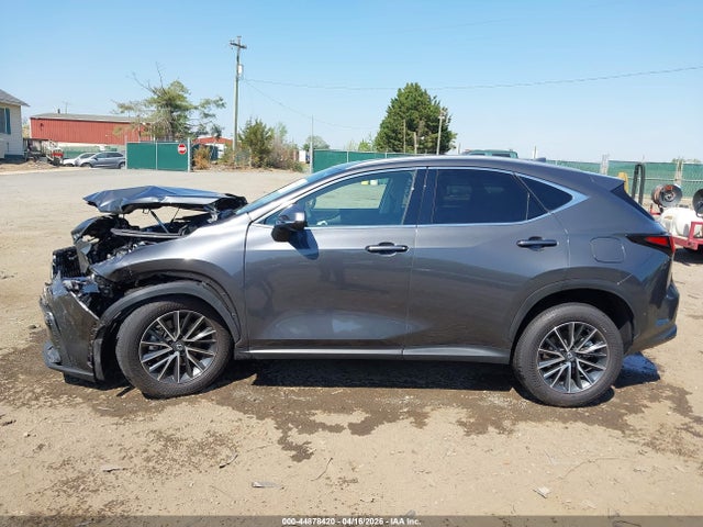 44878420 :رقم المزاد ، 2T2AGCEZ2SC081645 vin ، 2025 Lexus Nx 350 مزاد بيع