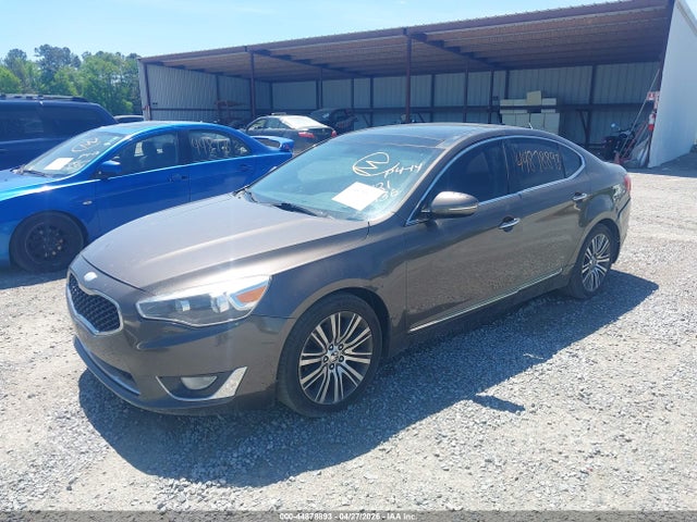 Продаж на аукціоні авто 2014 Kia Cadenza Premium, vin: KNALN4D79E5121436, номер лоту: 44878893