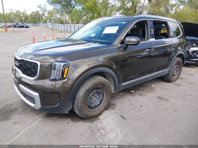 Aukcja sprzedaży 2025 Kia Telluride Ex, vin: 5XYP3DGC0SG637464, numer aukcji: 44879750