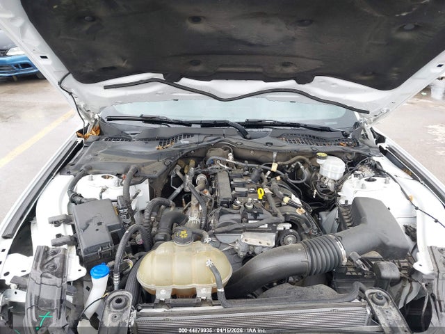 Продаж на аукціоні авто 2021 Ford Mustang Ecoboost Fastback, vin: 1FA6P8TH1M5137565, номер лоту: 44879935