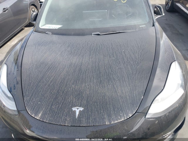 Auction sale of the 2019 Tesla Model 3 Long Range/mid Range/standard Range/standard Range Plus, vin: 5YJ3E1EA4KF395553, lot number: 44880605