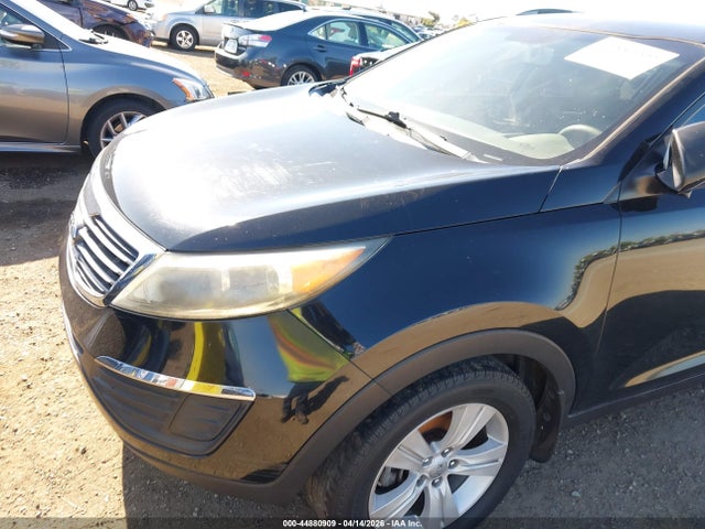 2012 KIA SPORTAGE KNDPB3A22C7272992 Photo 5