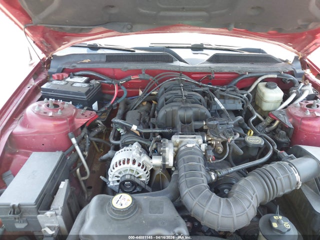 2006 FORD MUSTANG 1ZVFT80NX65188238 Photo 9