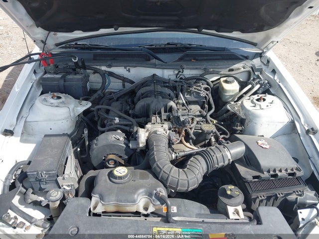 44884704 :رقم المزاد ، 1ZVFT80N955198841 vin ، 2005 Ford Mustang V6 Deluxe/v6 Premium مزاد بيع