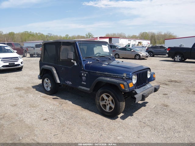 2002 JEEP WRANGLER 1J4FA39S02P719783