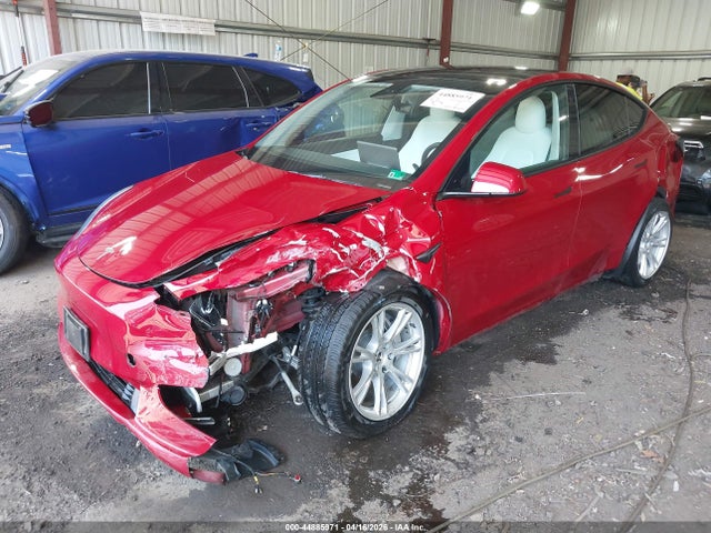 Продаж на аукціоні авто 2021 Tesla Model Y Long Range Dual Motor All-wheel Drive, vin: 5YJYGDEEXMF243705, номер лоту: 44885971