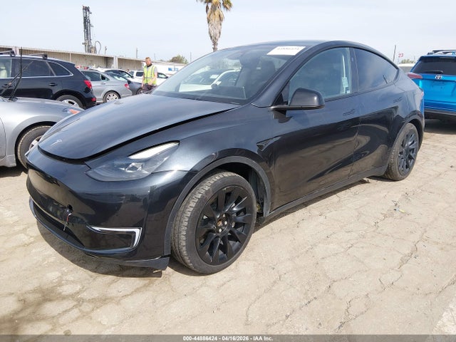 2024 TESLA MODEL Y 7SAYGDED1RF090164 Photo 1