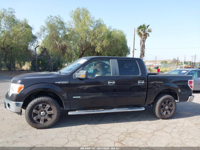 Ford F-150 Xlt 2014 1FTFW1ET1EFB22078 Image 14