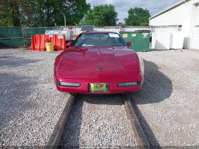 Продажа на аукционе авто 1995 Chevrolet Corvette, vin: 1G1YY22P5S5110557, номер лота: 44888266