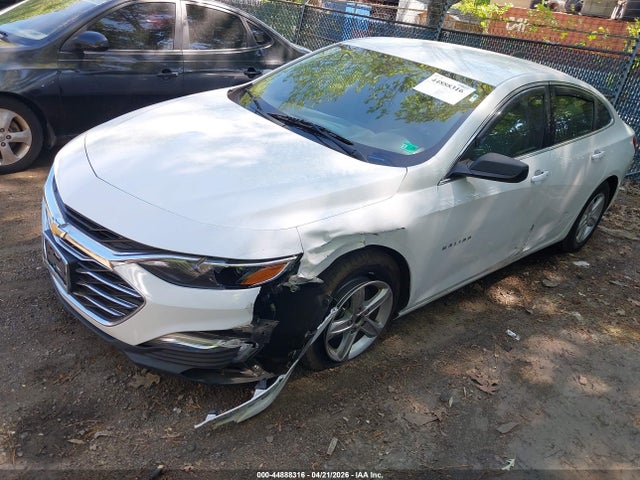 44888316 :رقم المزاد ، 1G1ZB5ST5KF123209 vin ، 2019 Chevrolet Malibu 1ls مزاد بيع