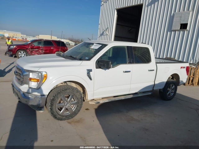 Aukcja sprzedaży 2023 Ford F-150 King Ranch/lariat/platinum/tremor/xl/xlt, vin: 1FTFW1E84PKD46371, numer aukcji: 44888850