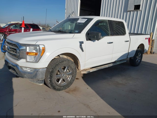 Aukcja sprzedaży 2023 Ford F-150 King Ranch/lariat/platinum/tremor/xl/xlt, vin: 1FTFW1E84PKD46371, numer aukcji: 44888850