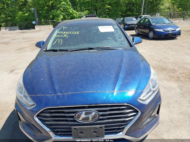 44890028 :رقم المزاد ، 5NPE24AFXKH795915 vin ، 2019 Hyundai Sonata Se مزاد بيع