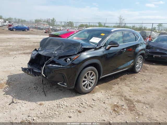 2020 Lexus Nx 300h მანქანა იყიდება აუქციონზე, vin: JTJDJRDZ4L2145821, აუქციონის ნომერი: 44890240