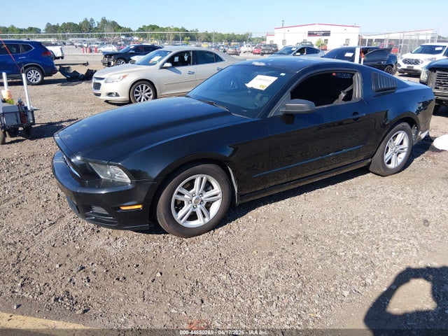 2014 Ford Mustang V6 მანქანა იყიდება აუქციონზე, vin: 1ZVBP8AM2E5295825, აუქციონის ნომერი: 44890265