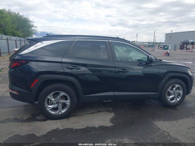 Hyundai TUCSON SEL 2024 5NMJBCDE2RH368523 Image 13