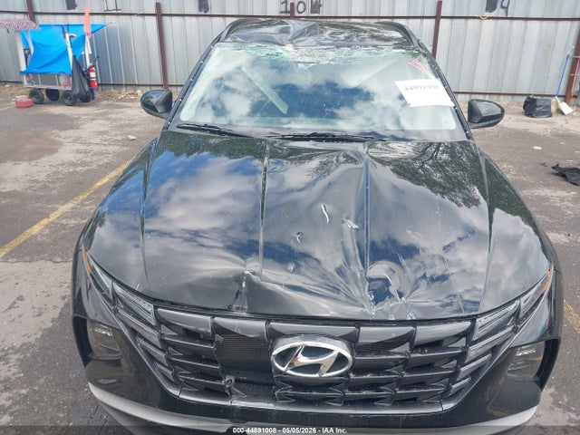 Hyundai TUCSON SEL 2024 5NMJBCDE2RH368523 Image 6