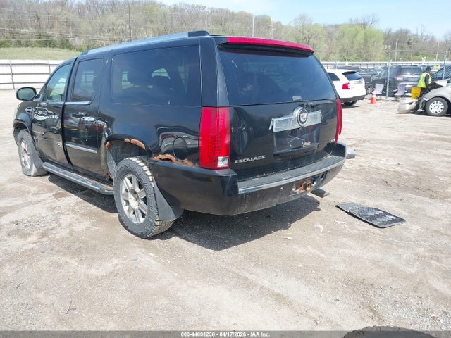 2007 Cadillac Escalade Esv Standard მანქანა იყიდება აუქციონზე, vin: 1GYFK66857R241881, აუქციონის ნომერი: 44891238