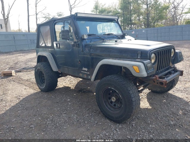2003 JEEP WRANGLER 1J4FA29103P303980