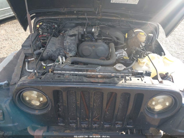 2003 JEEP WRANGLER 1J4FA29103P303980 Photo 9