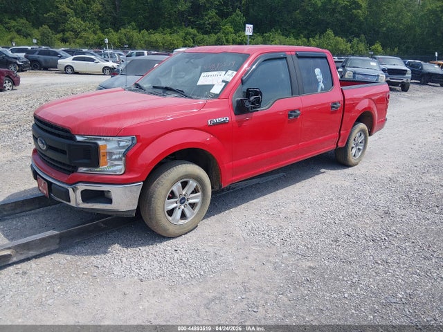 Продаж на аукціоні авто 2019 Ford F-150 Xl, vin: 1FTEW1CP7KFB75901, номер лоту: 44893519