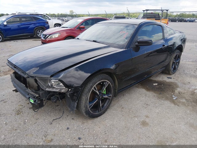 Продажа на аукционе авто 2014 Ford Mustang V6 Premium, vin: 1ZVBP8AM4E5260378, номер лота: 44895409